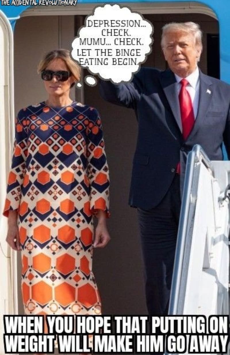 Donald and Melania Trump emerge from final flight from DC on January 20, 2021